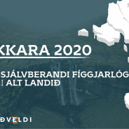 OKKARA 2020 – EIN SJÁLVBERANDI FÍGGJARLÓG FYRI ALT LANDIÐ